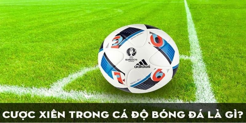 Giới thiệu cược xiên trong cá độ bóng đá